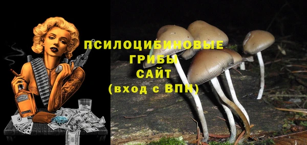 кокс Осинники
