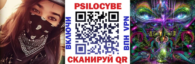 Псилоцибиновые грибы мицелий  дарнет шоп  Майский 